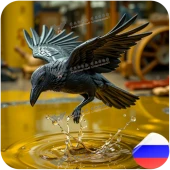 Эпоксидное связующее Резикарб Аэро