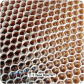 Арамидные соты 3,2-80кг/м³, 1220х2440(1220)х3мм #6920